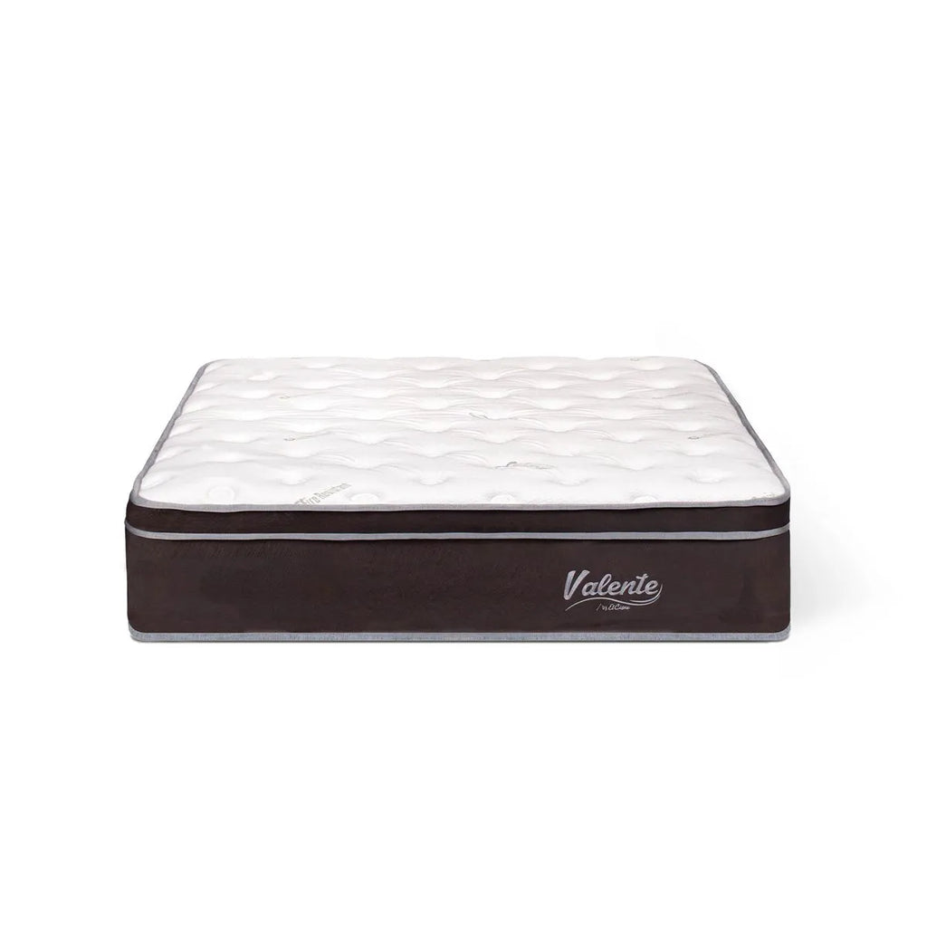 Colcón El Cisne Pocket Valente Premium