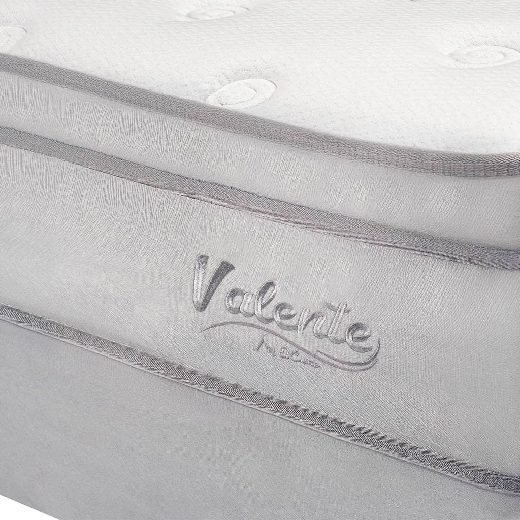Colcón El Cisne Pocket Valente Premium