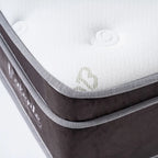 Colcón El Cisne Pocket Valente Premium
