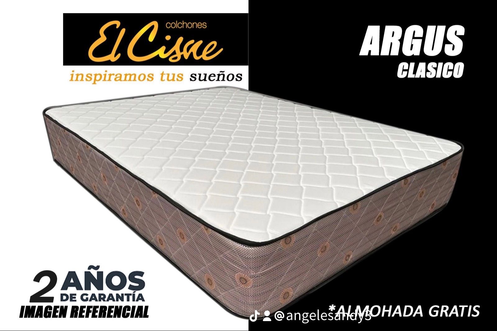 El Cisne Argus Clasico