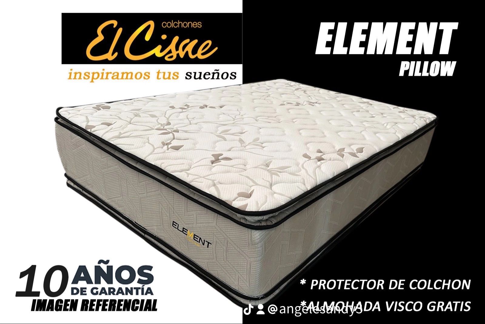 El Cisne Element Pillow
